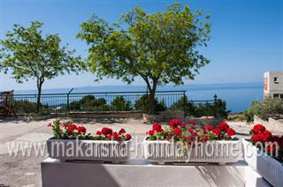 Günstige Ferienwohnung Kroatien - Makarska - Turina