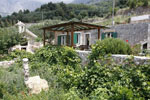 makarska villa slave pogled iz vrta