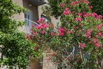 Apartmani na moru - Makarska - Apartman Ani