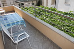 Zaostrog apartmani privatni smještaj